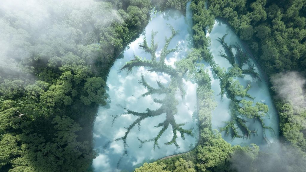 Enviroment