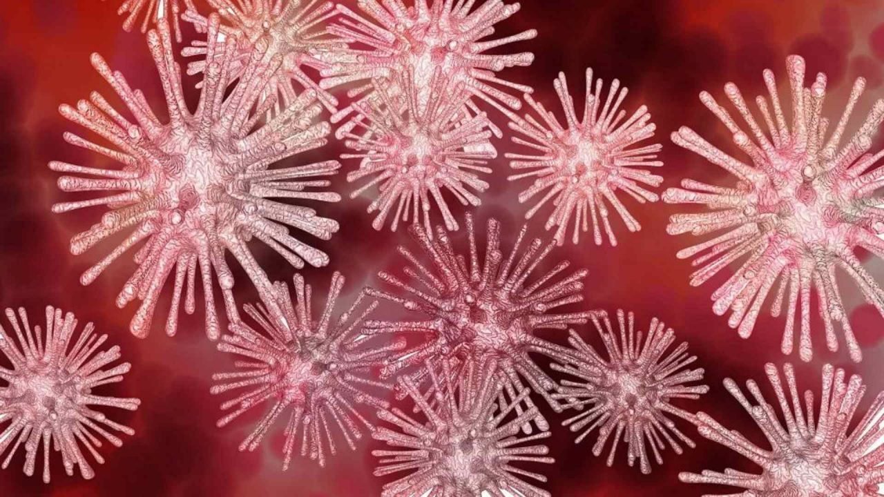 virus-3552273_1920-min-2-1-1-1024x683-1-1280x720